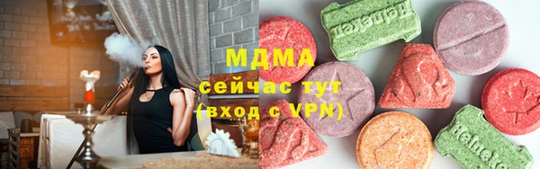 мдпв Ельня