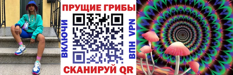 Галлюциногенные грибы прущие грибы  Бирюсинск 